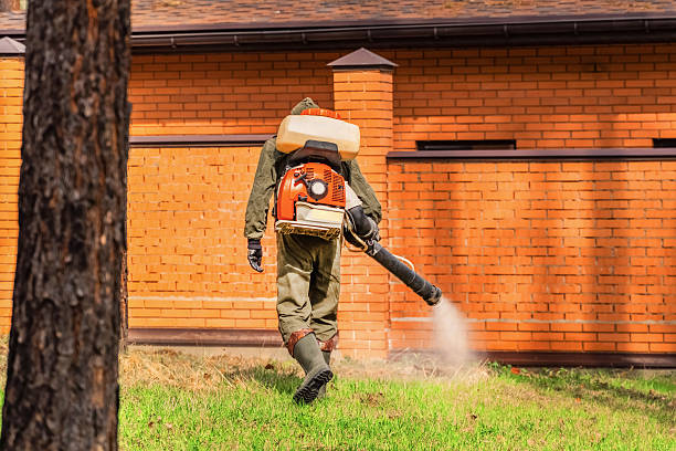 Trusted Termite Control service in Rosendale, WI - Nex Pest Control